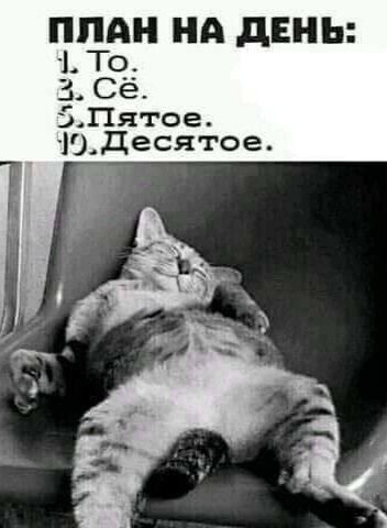 ППАН НА дЕНЬ 1 То 3 Сё ЗПятое Ю_десятое