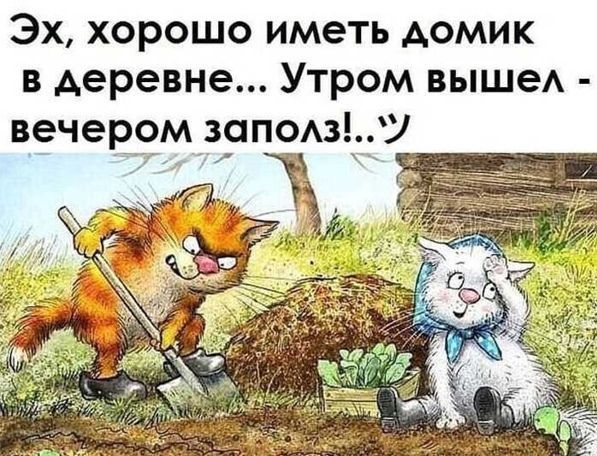 Эх хорошо иметь домик в деревне Утром выше вечером 3сшою