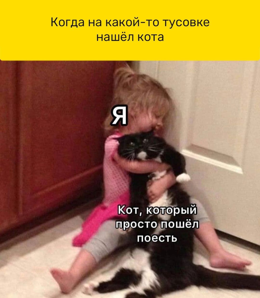 Кот кодерый простошошел