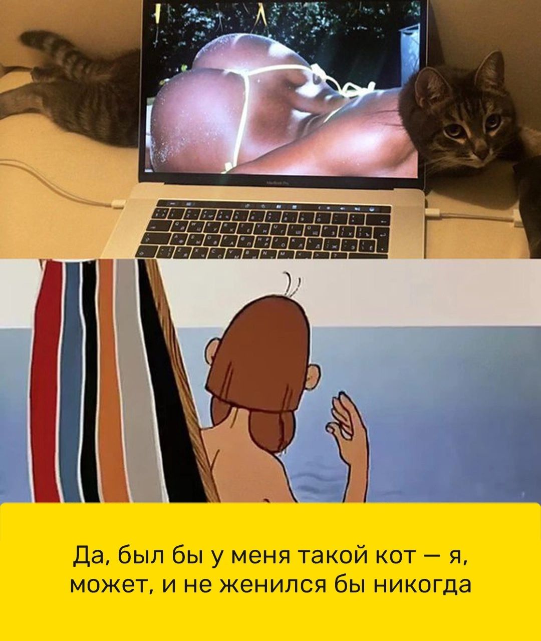 ж ввишпшпщв Да был бы у меня такой кот я может и не женился бы никогда