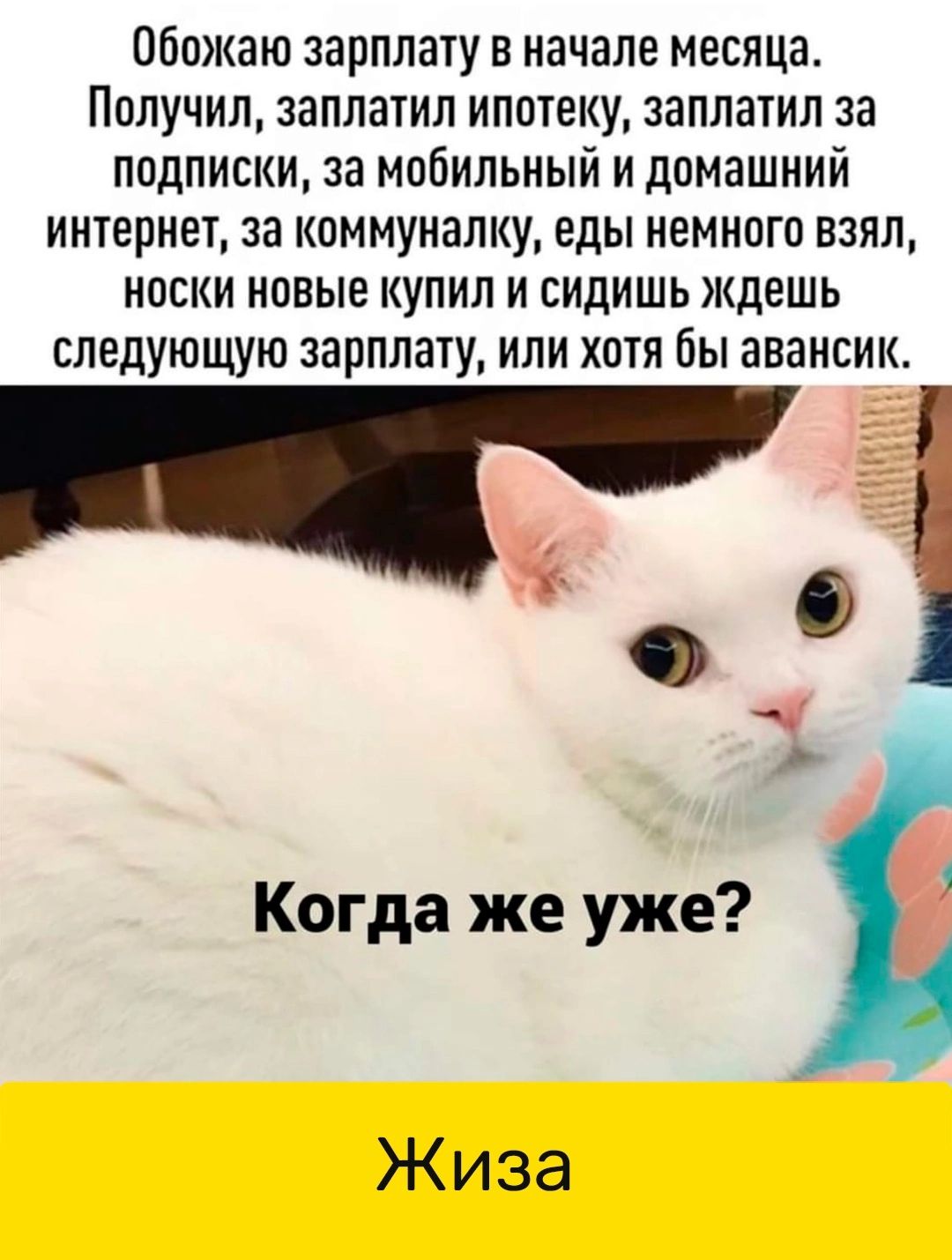 Обожаю зарплату в начале месяца Получил заплатил ипотеку заплатил за подписки за мобильный и домашний интернет за коммуналку еды немного взял носки новые купил и сидишь ждешь следующую зарплату или хотя бы авансик Когда же уже Жиза