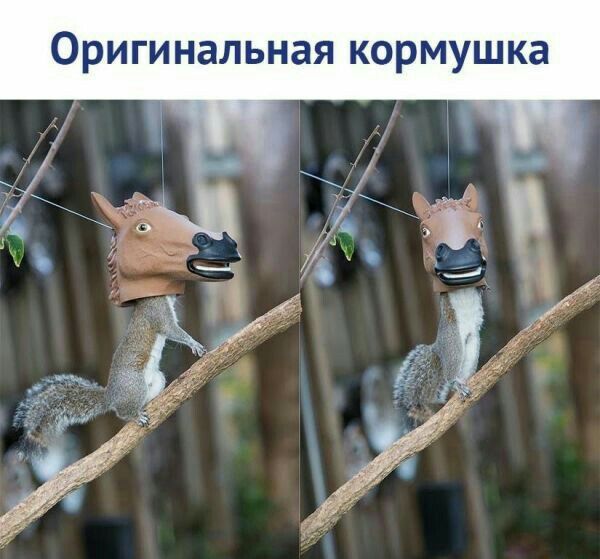Оригинальная кормушка