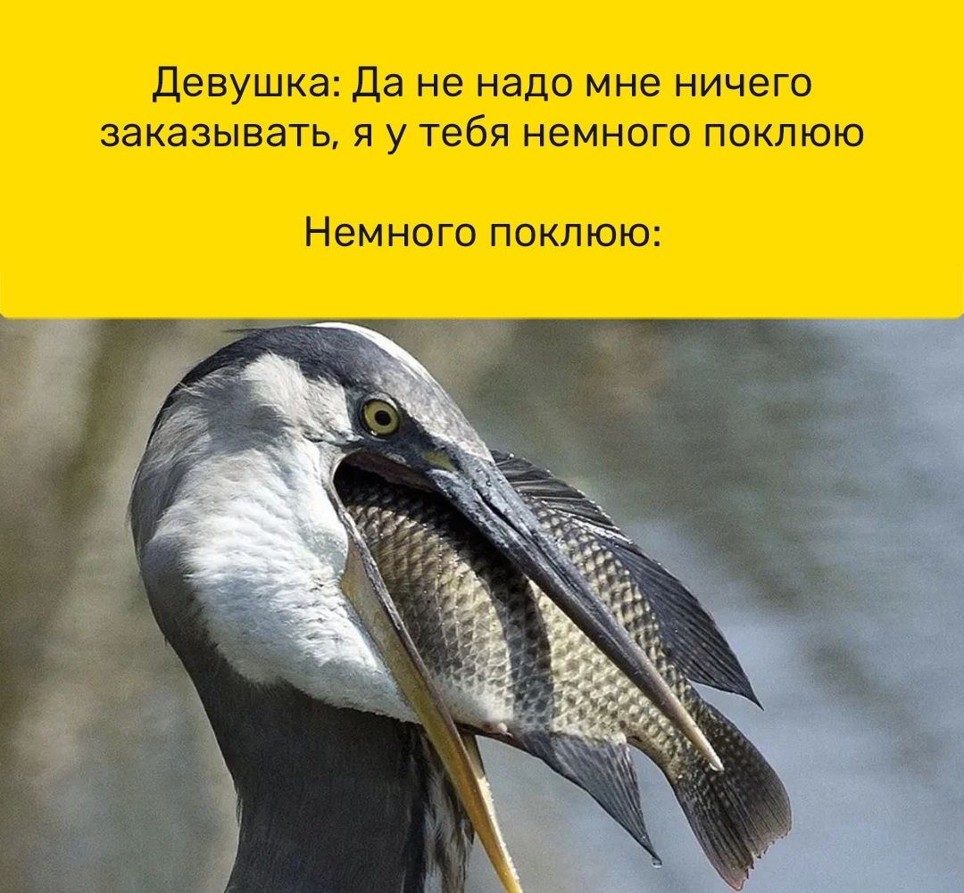 девушка Да не надо мне ничего заказывать я у тебя немного покпюю Немного покпюю