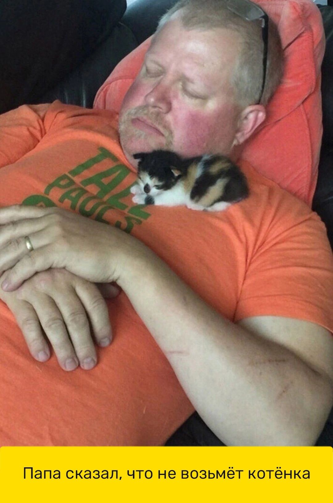 Папа сказал что не возьмет котенка