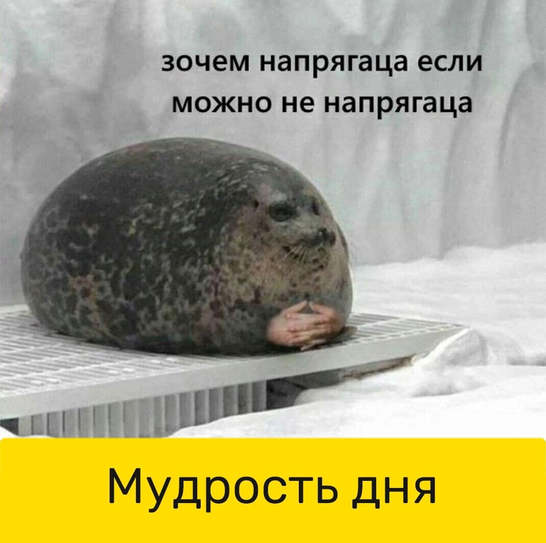 зочем напрягаца если МОЖНО не напрягаца Ш _ЁШ Мудрость дня