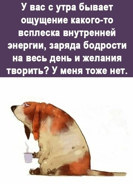 У вас с утра бывает ощущение какого то всплеска внутренней энергии заряда бодрости на весь день и желания творить У меня тоже нет