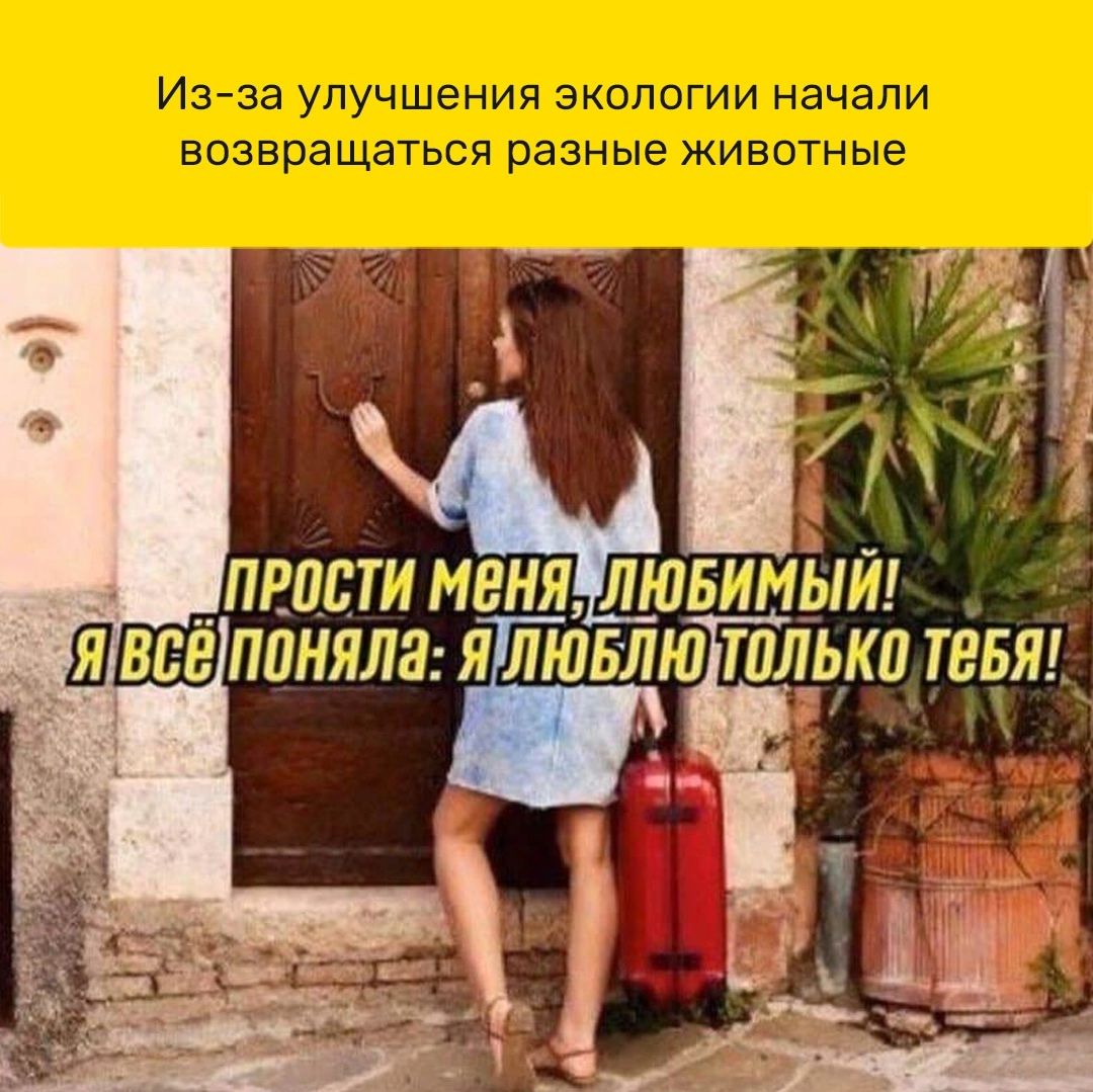ПЕПДТИ МЕНЯЛЮ ШНБЁ ПЦНЯЛЯ Я ЛЮБ Ю
