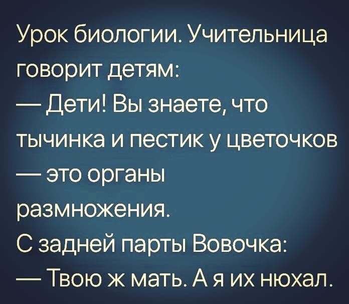 Урок биологии Учительница говорит детям Дети Вы знаете что тычинка и пестик у цветочков это органы размножения С задней парты Вовочка Твою ж мать А я их нюхал