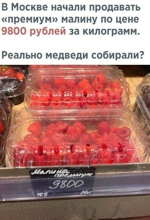 В Москве начали продавать премиум малину по цене 9800 рублей за килограмм Реально медведи собирали