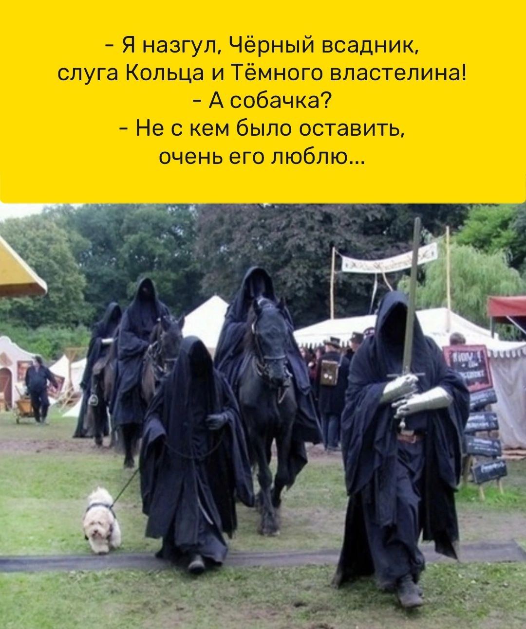 Я назгул Чёрный всадник спуга Кольца и Тёмного властелина А собачка Не с кем было оставить очень его люблю