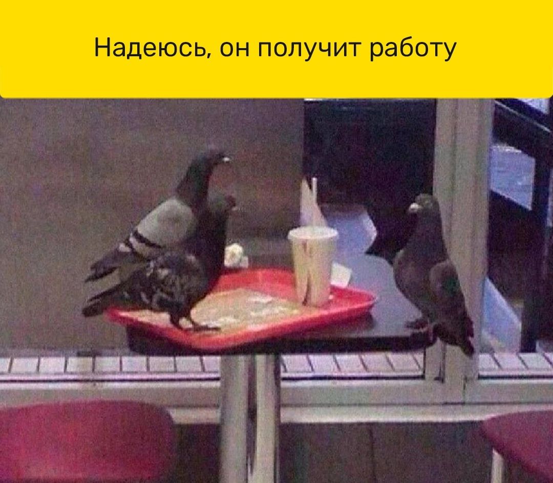 Надеюсь он получит работу