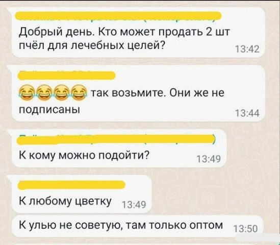 Добрый день Кто может продать 2 шт пчёл для лечебных целей 13 42 _ так возьмите Они же не подписаны 13 44 _ К кому можно подойти _ К любому Цветку 49 К упью не советую там только оптом 13 50