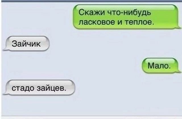 стадо зайцев