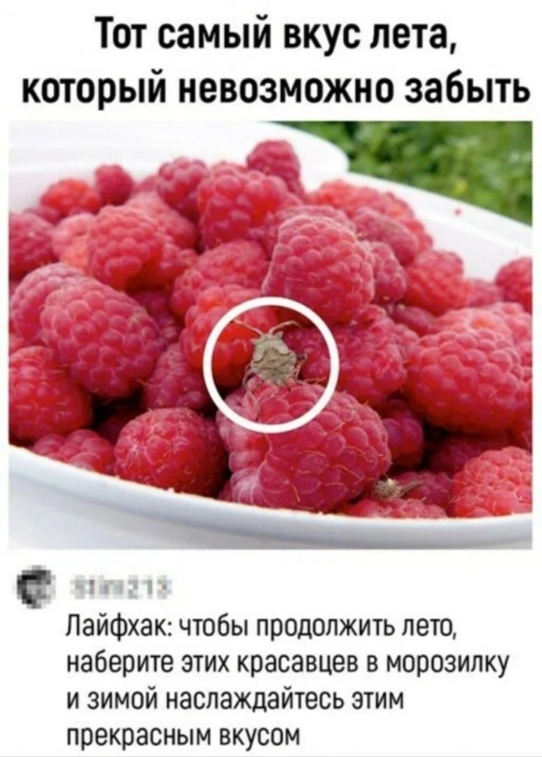 Тот самый вкус лета который невозможно забыть Лайфхак чтобы продолжить лето наберите этих красавцев в морозилку и зимой наслаждайтесь этим прекрасным вкусом