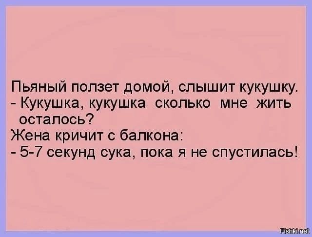 Пьяный ползет домой спышит кукушку Кукушка кукушка сколько мне жить осталось Жена кричит балкона 5 7 секунд сука пока я не спустилась