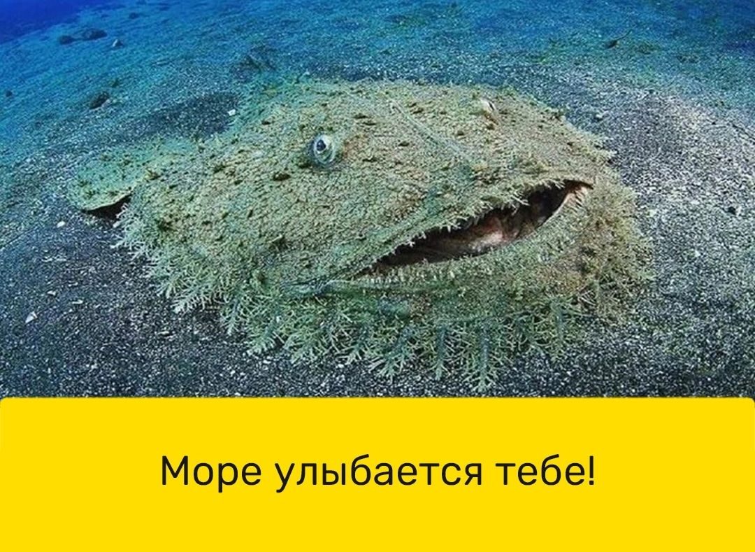 Море улыбается тебе