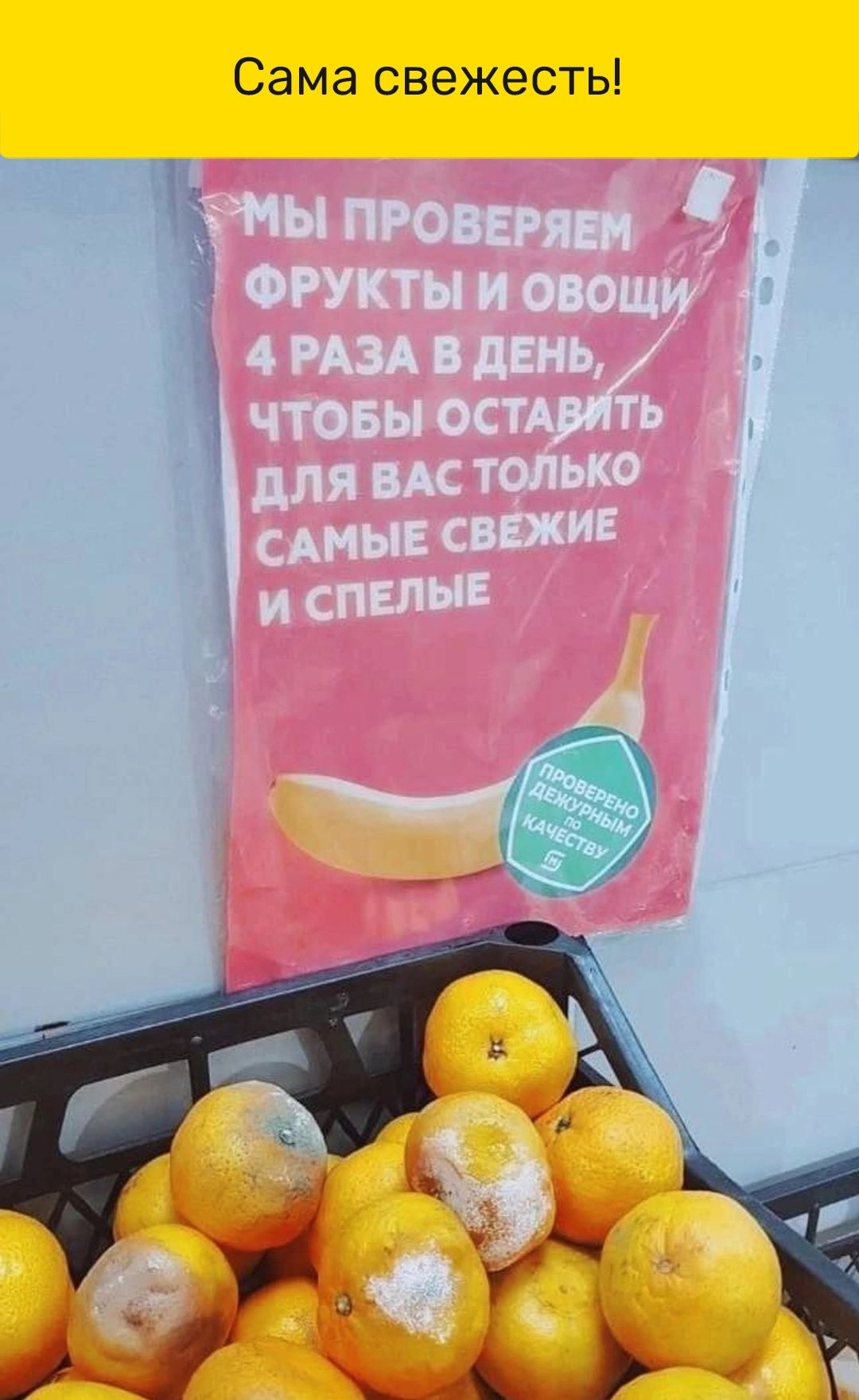 Сама свежесть