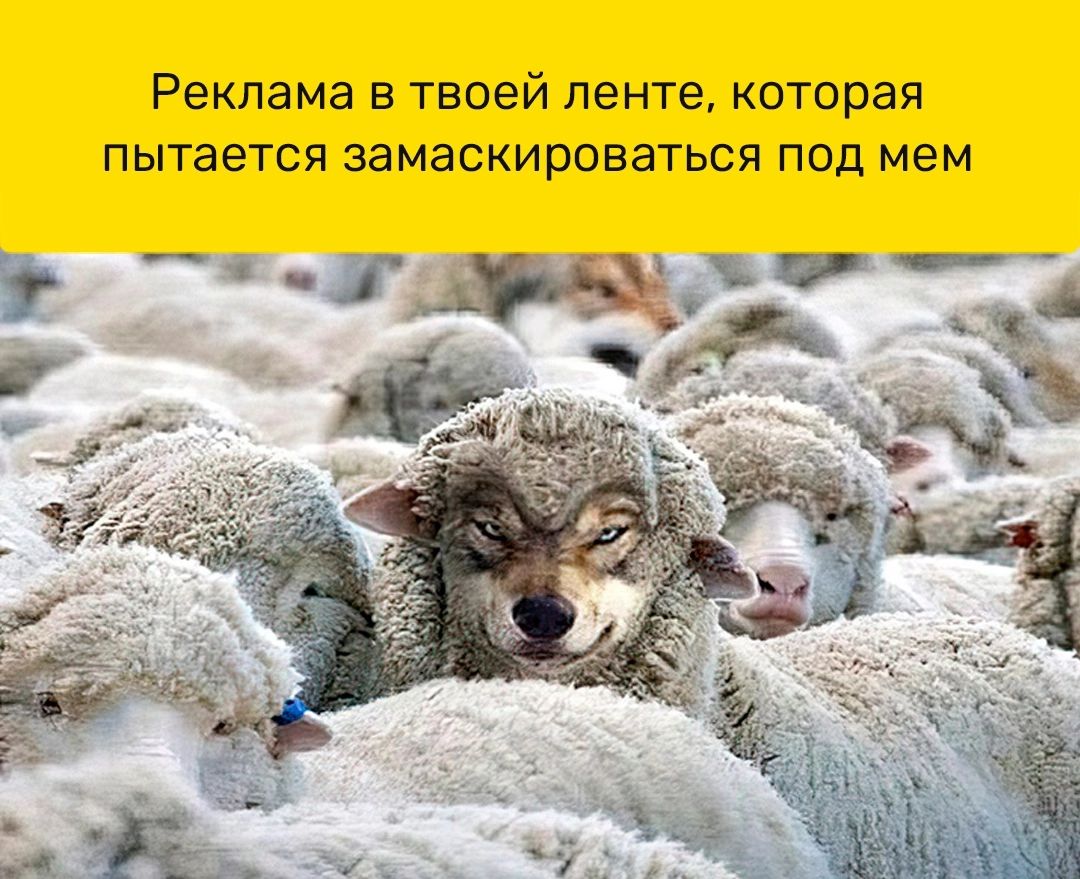 Реклама в твоей ленте которая пытается замаскироваться под мем