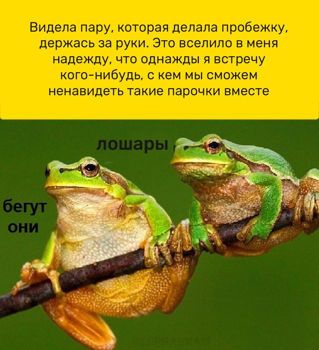 Ёітдвтд щ ищет и в дт манты г г и шдга к чт