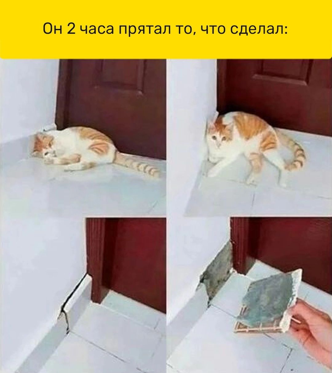 Он 2 часа прятал то что сделал