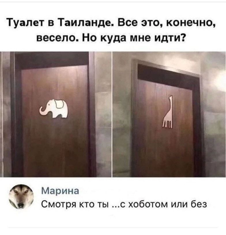 Туалет в Таиланде Все это конечно весело Но куда мне Идти Марина Смотря кто ты с хоботом или без