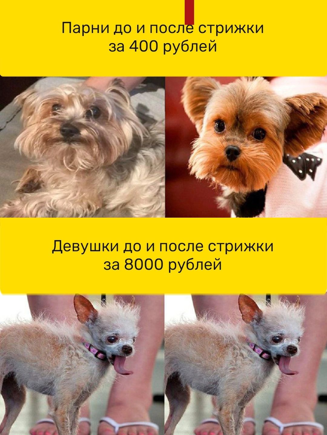 Парни по и посл стрижки за 400 рублей щмч 13 девушки до И после СТРИЖКИ за 8000 рублей