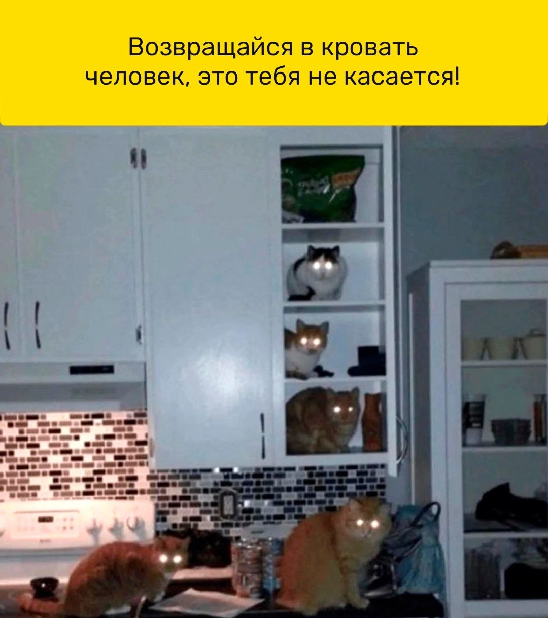Возвращайся в кровать человек ЭТО тебя не КЗСЭЭТСЯ