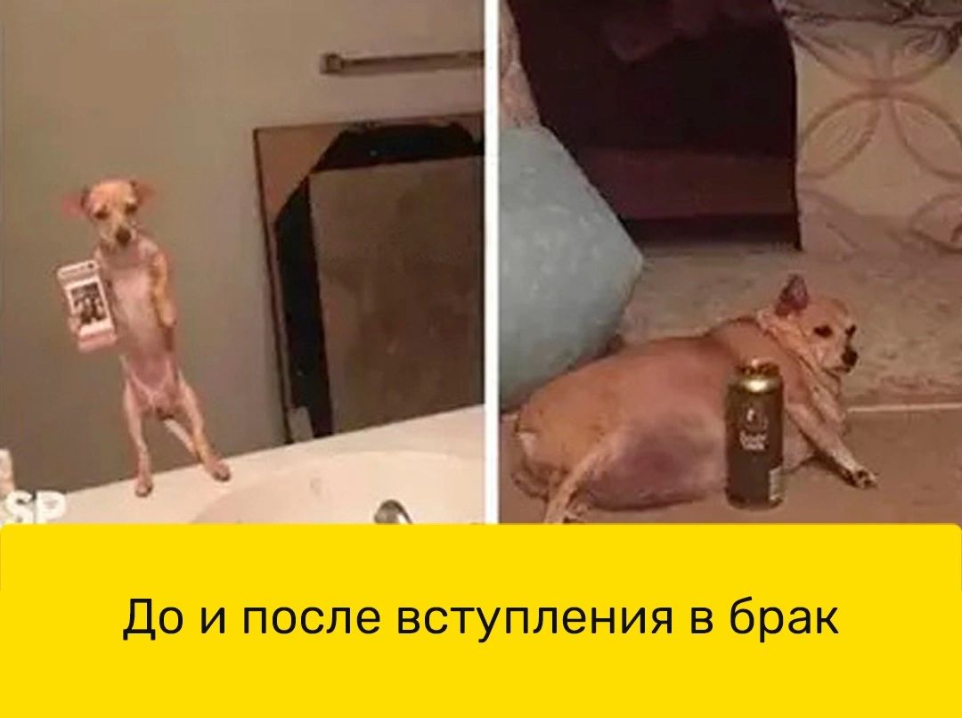 До и после вступления в брак