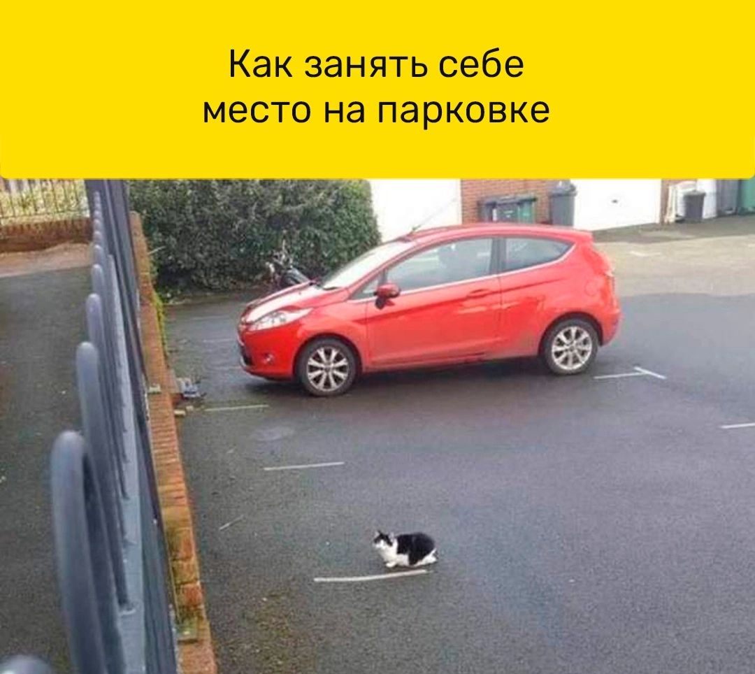 Как занять себе место на парковке