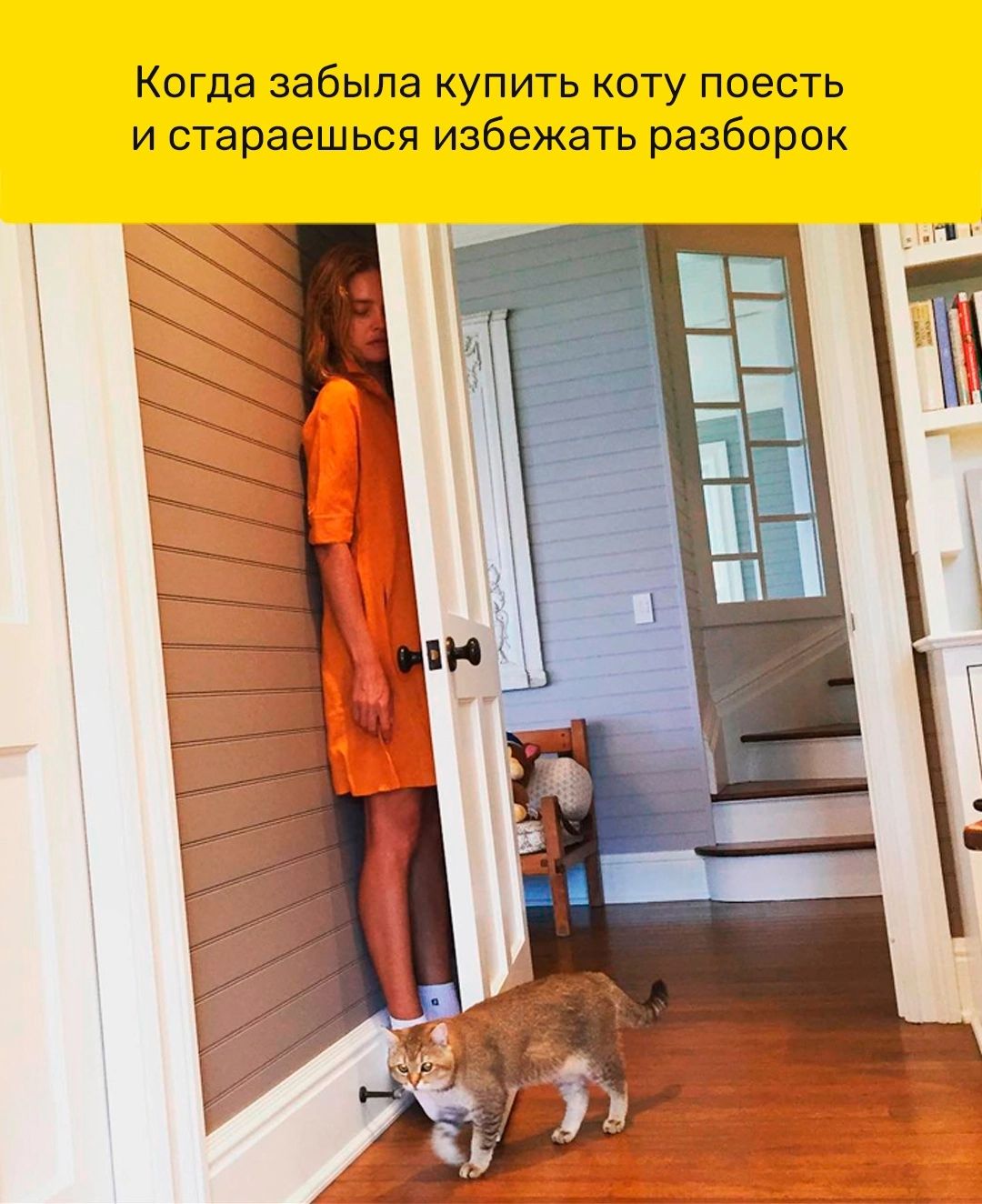 Когда забыла купить коту поесть и стараешься избежать разборок
