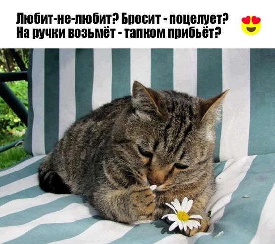 Любинь июню Бппсит поцелует на пучки маъмёт тапипм ппивьёп