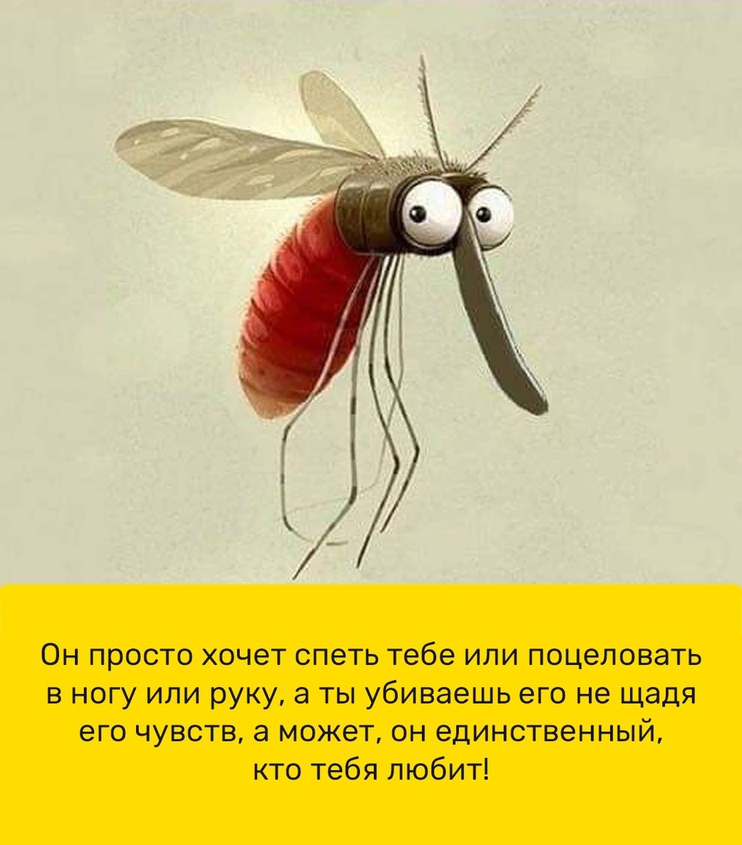 Он просто хочет спеть тебе или поцеловать в ногу или руку а ты убиваешь его не щадя его чувств а может он единственный кто тебя любит