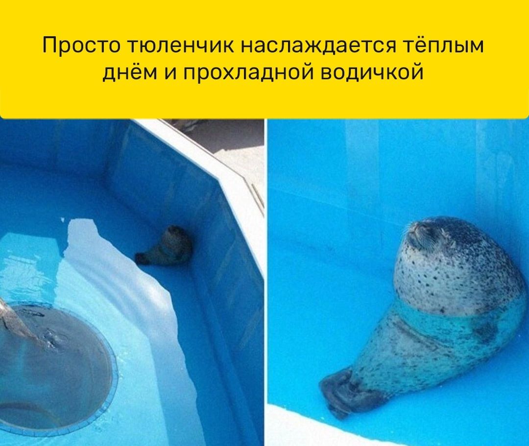 Вы _