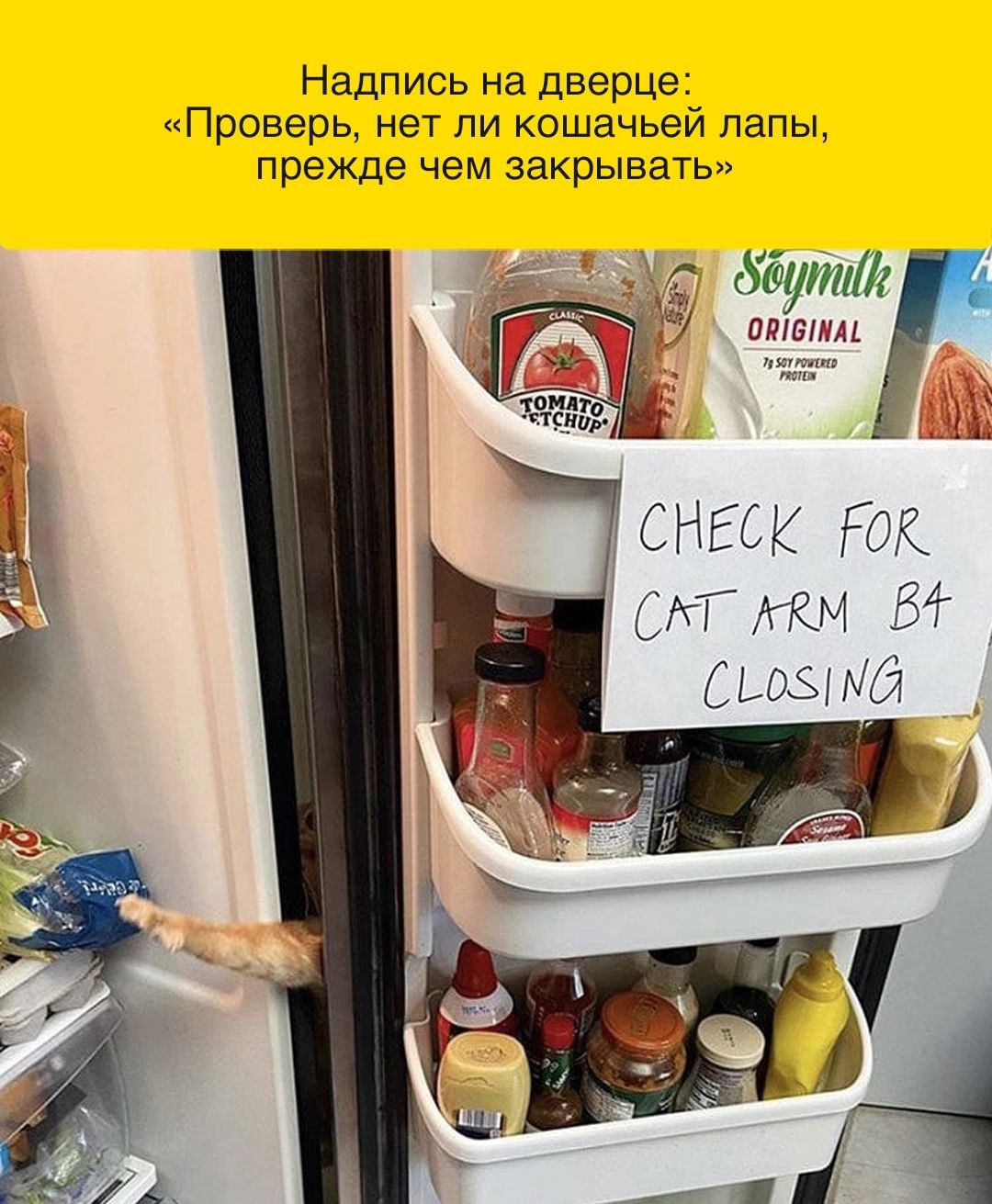 Надпись на дверце Проверь нет ли кошачьей папы прежде чем закрывать Зёутііе чт СНЕСК ГОК щ