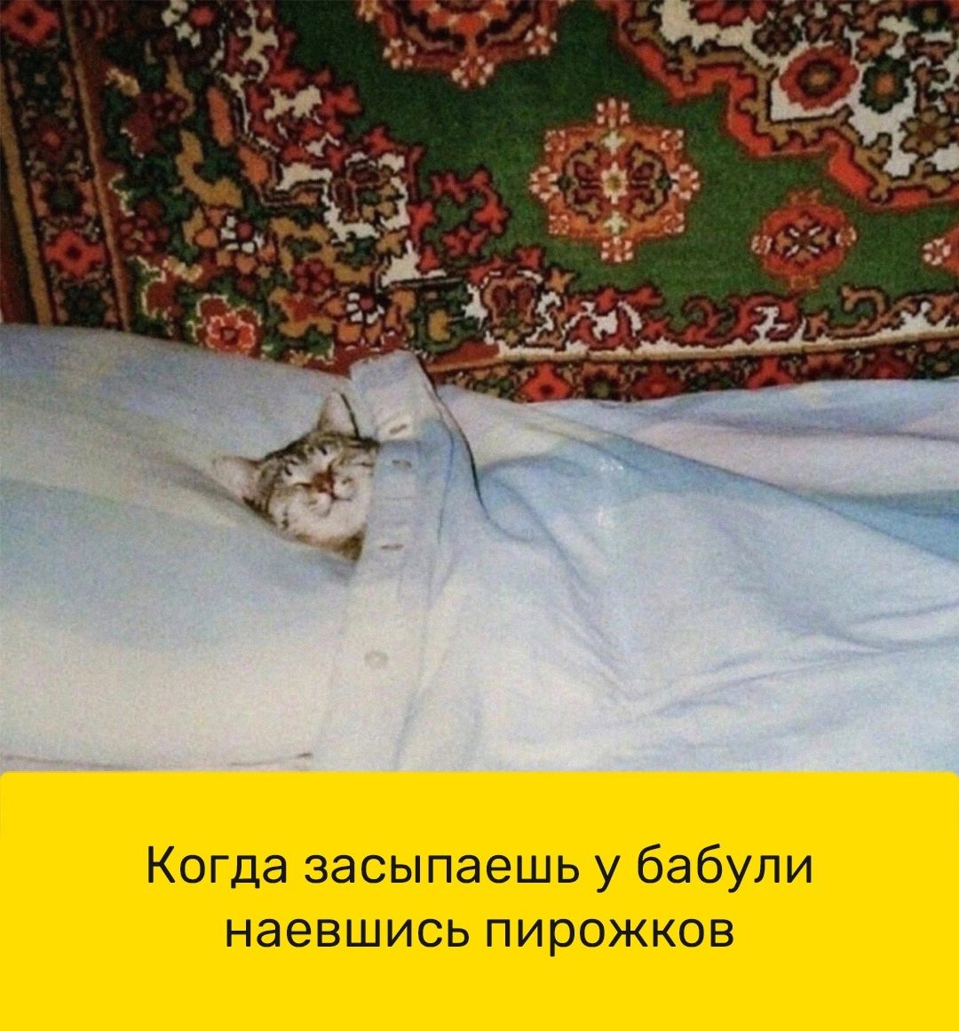 Когда засыпаешь у бабули наевшись пирожков