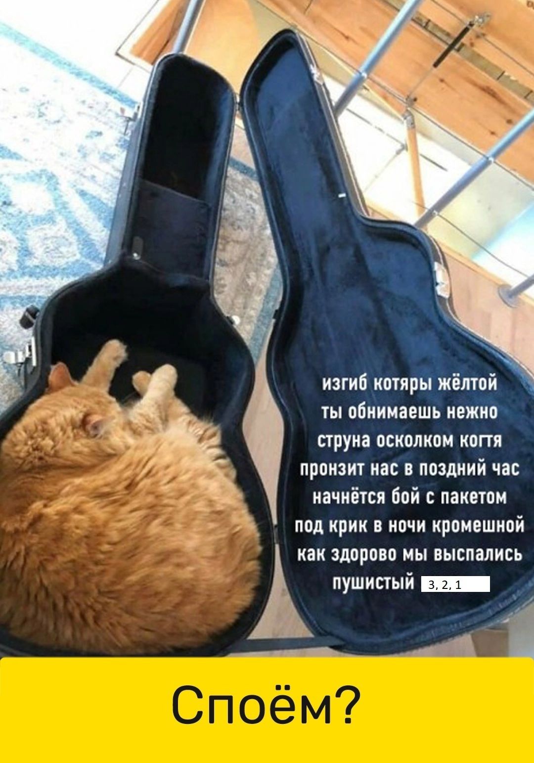 изгиб копий Зимой піиииавшь иежиія пруиа псиплипи кпггя проиаит на ппздиий час иачиітоя бой с патом под крик ночи кромешной как здорово мы высились пушипый щ