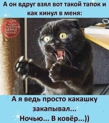 А он вдруг взял вот такой тапок и как кинул в меня А я ведь Бросто какашку закапывал Ночью В ковёр
