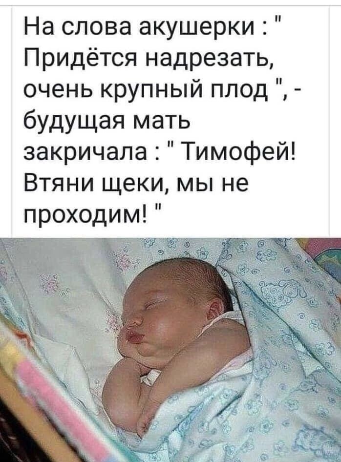 На слова акушерки Придётся надрезать очень крупный плод будущая мать закричала Тимофей Втяни щеки мы не проходим