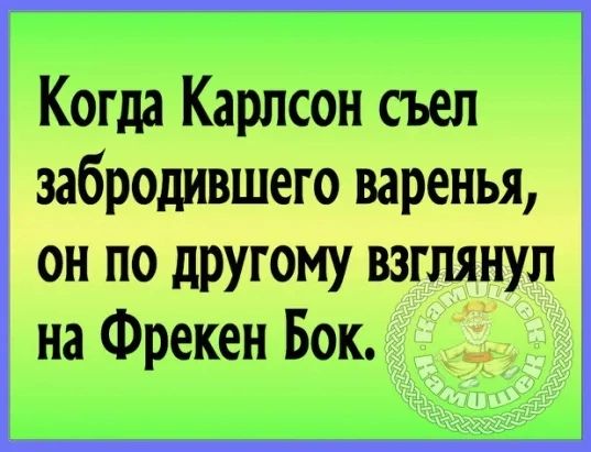 Когда Карлсон съел забродившего варенья он по другому взглянул на Фрекен Бок