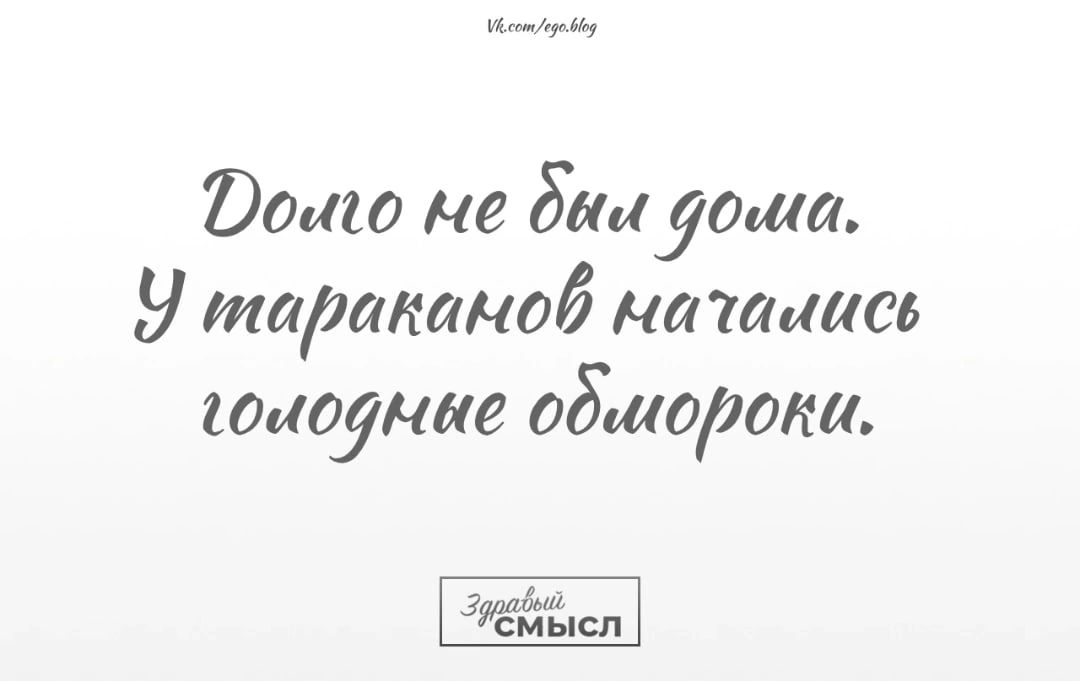 _ Бошо не Биуста 9 тараканоб нашлась юиоунае обморока Здёайысп