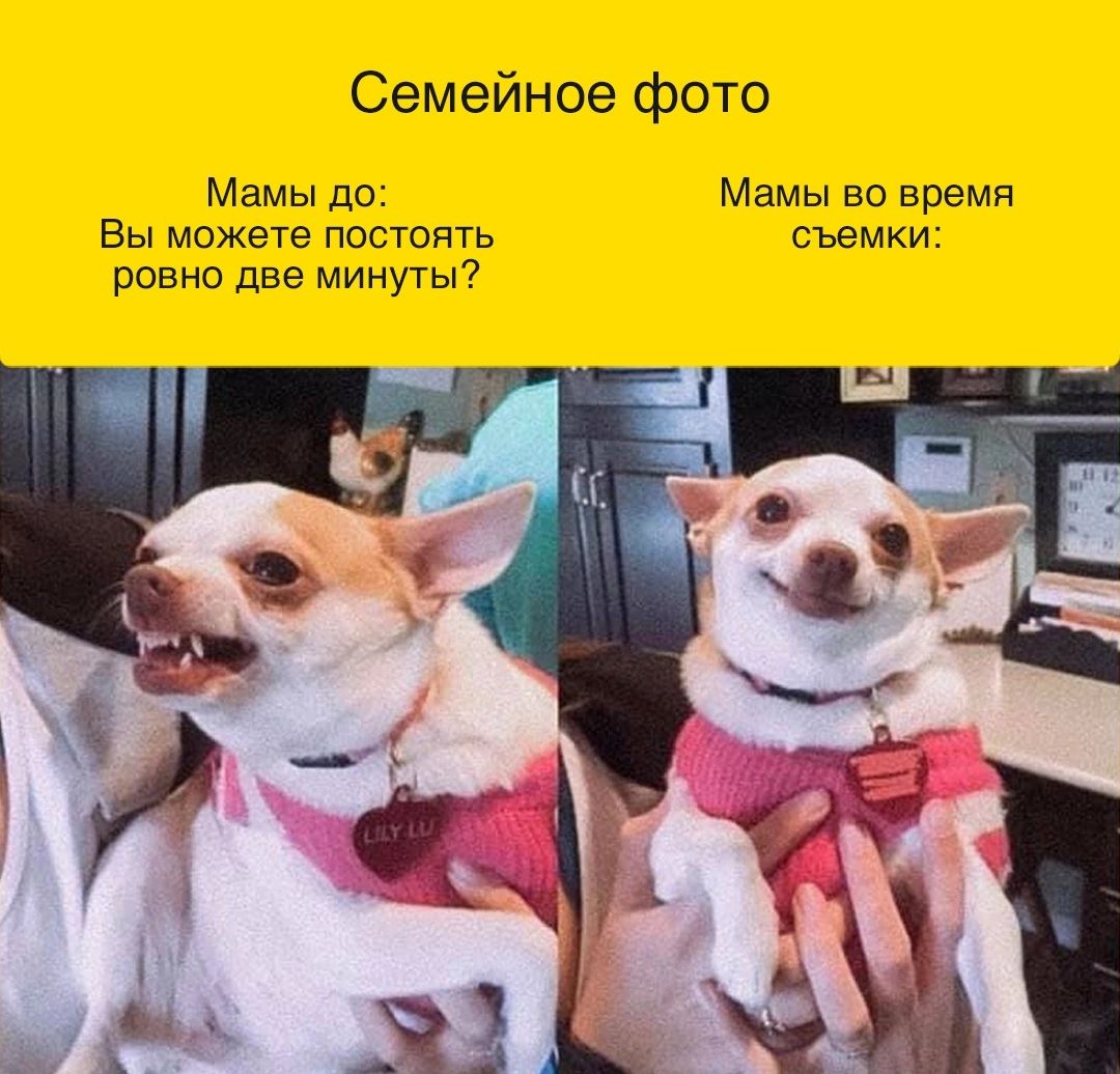 Семейное фото Мамы до Мамы во еремп Вы можете Постоять съемки ровно две минуты