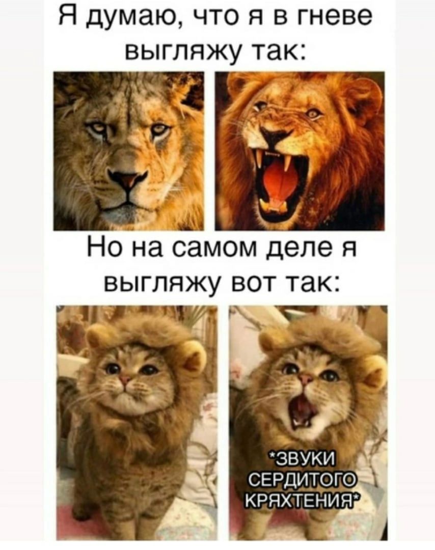Я думаю что я в гневе ВЫГППЖУ так __ но на самом деле Я ВЫГЛЯЖУ ВОТ ТЗК Ф і СЕРЦНЛЛУ О КРЯЧТЕНИД