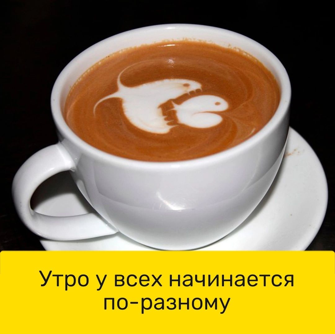 Утро у всех начинается поразному