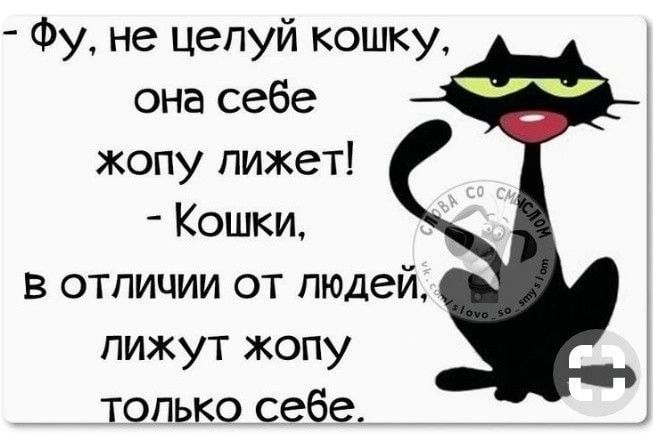 Фу не цепуй кошку она себе жопу лижет Кошки в отличии от людей пижут жопу только себе