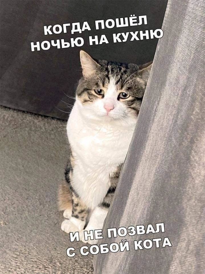 КОГДА П НОчЬЮ НА КУухНЮ