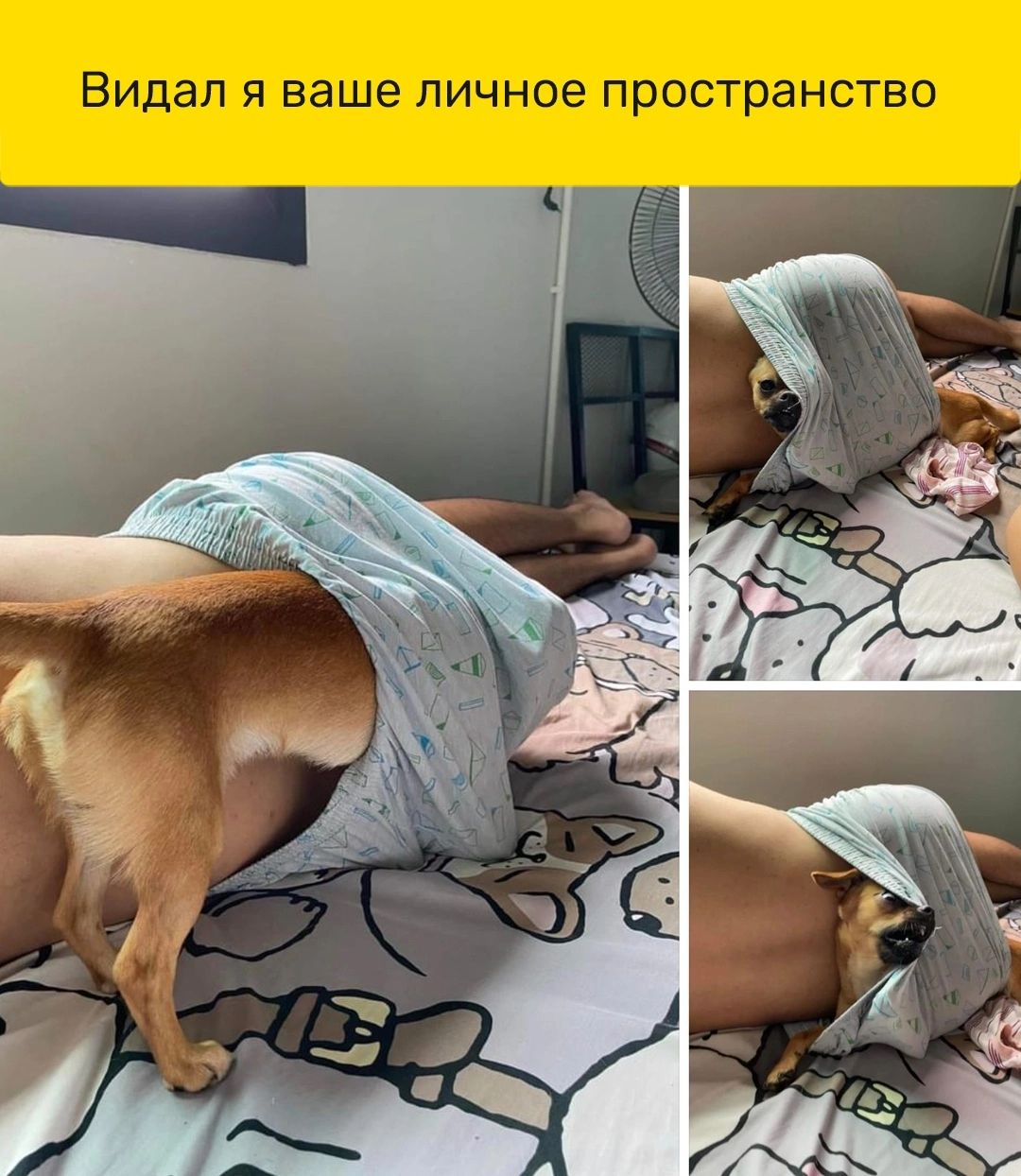 ВИДЭЛ Я ваше ЛИЧНОЕ пространство