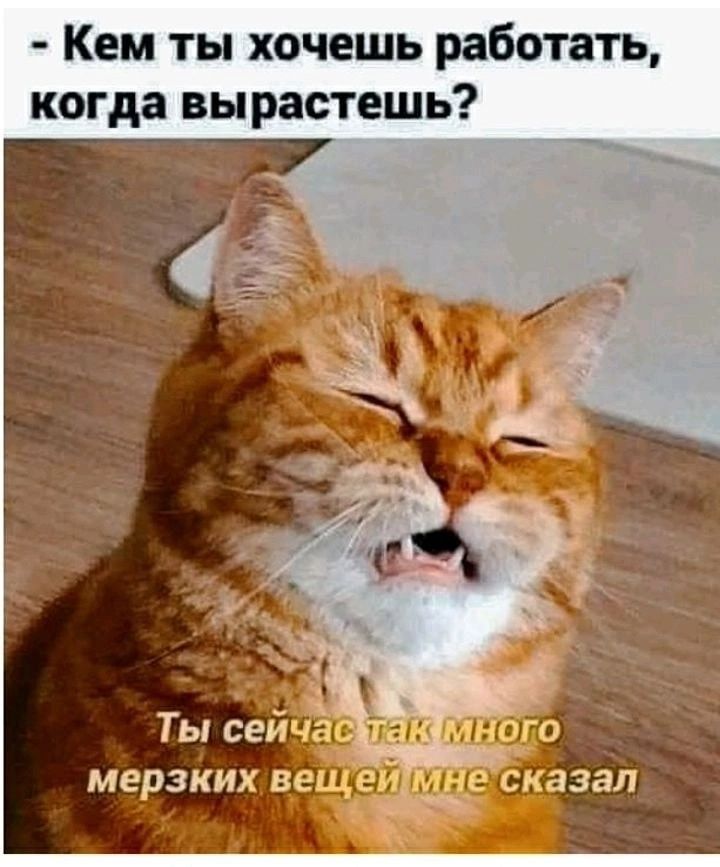 Кем ты хочешь работать когда вы растешь Ты сей мерзких ве _
