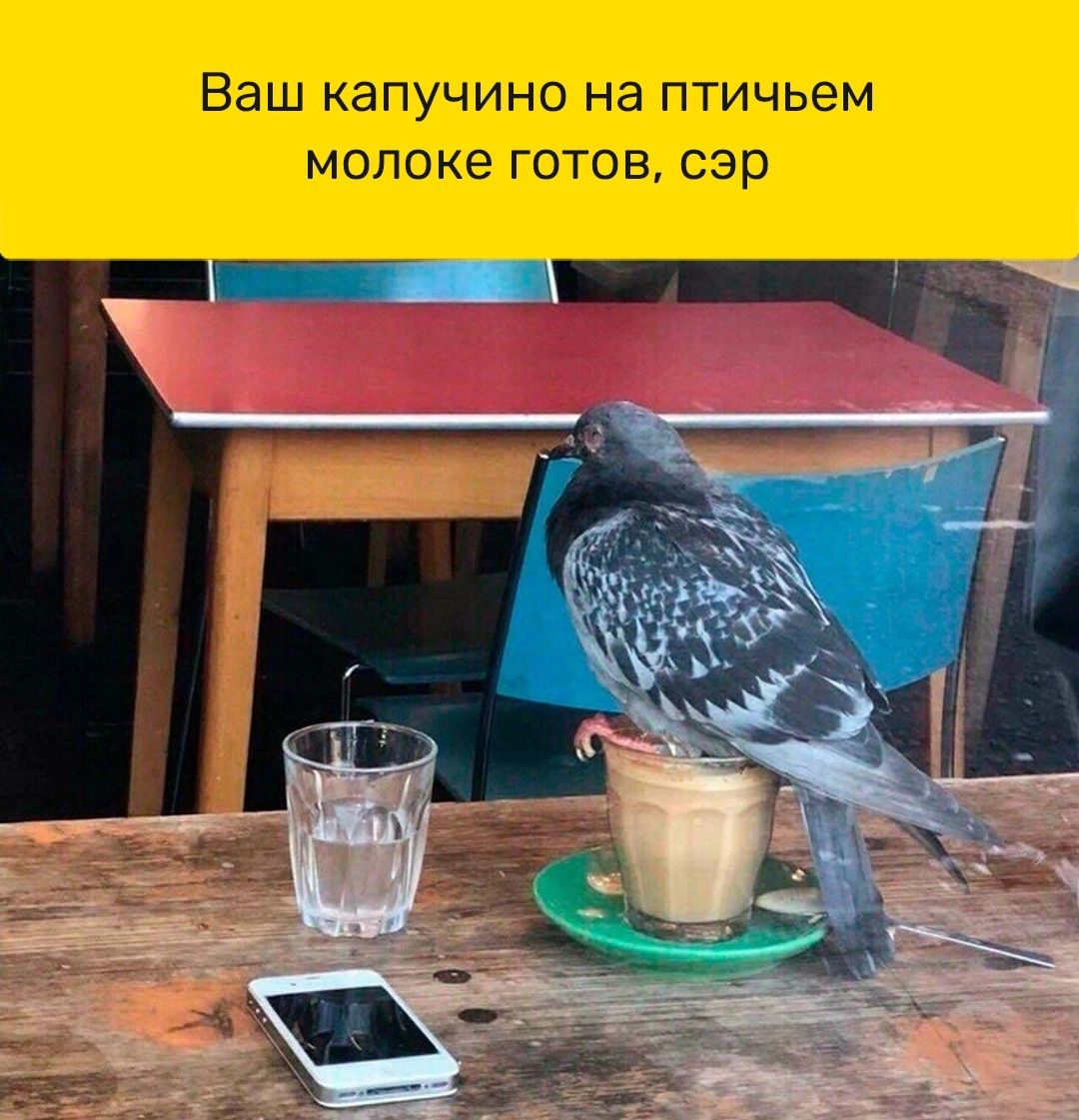 Ваш капучино на птичьем молоке готов сэр