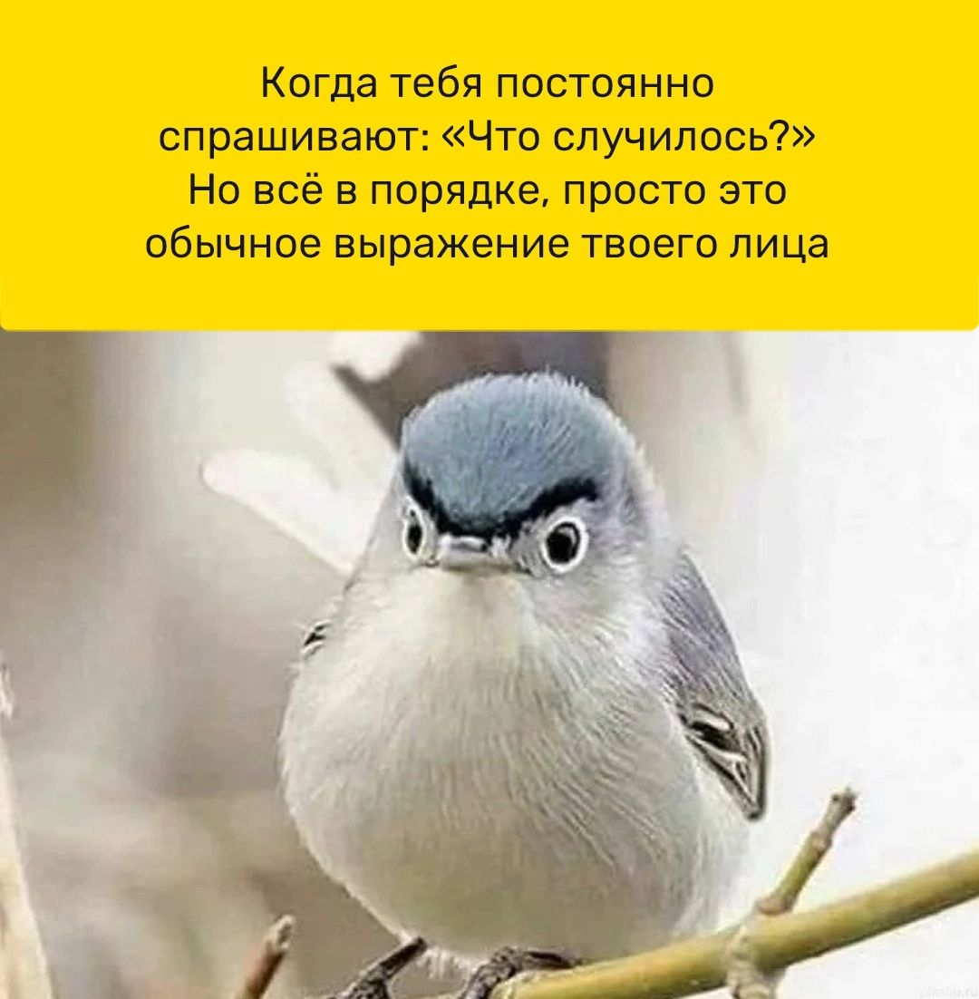 Когда тебя постоянно спрашивают что случилось Но всё в порядке просто это обычное выражение твоего лица