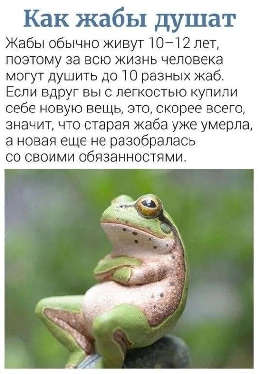 Как жабы душат Жабы обычно живут 101 2 лет поэтому за всю жизнь человека могут душить 11010 разных жаб Если вдруг вы с легкостью купили себе новую вещь это скорее всего значит что старая жаба уже умерла а новая еще не разобралась со своими обязанностями